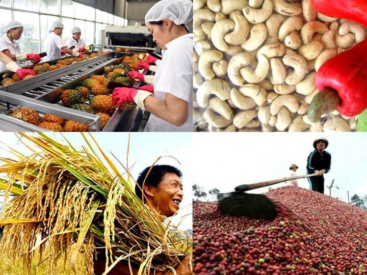 Cách Khởi Nghiệp Kiếm Tiền Bán Thời Gian Dành Cho Người Mới_Đại lý cấp tỉnh