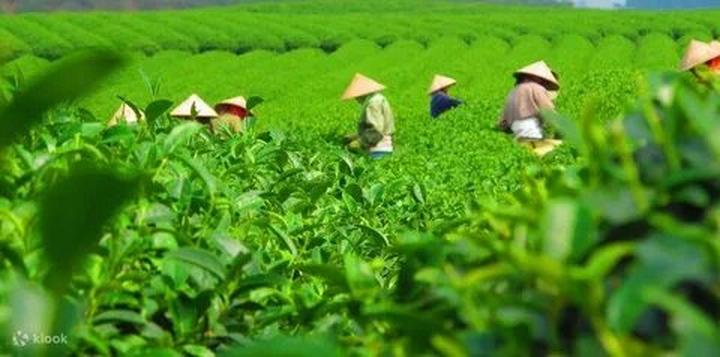 Làm Video Ngắn – Vừa Sáng Tạo, Vừa Kiếm Tiền Với Công Cụ Hữu Ích_Tối ưu hóa video cho SEO