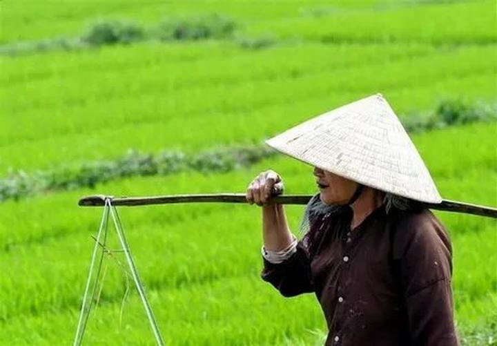 Chính sách đại lý của Hotspot Matrix: Cơ hội hợp tác bền vững trong ngành video ngắn_Số tài khoản